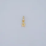 DIJE ESTRELLA LISA EN ORO 18K
